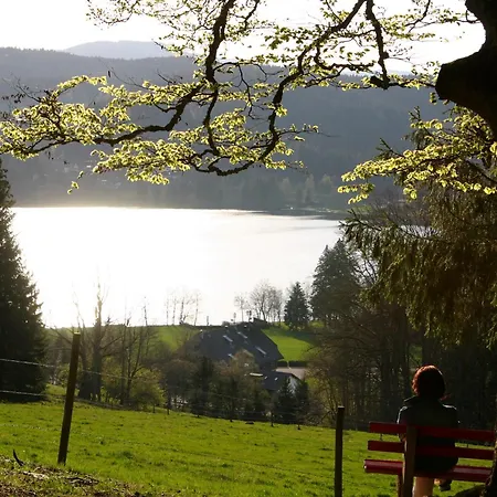 Haus Am Tannenhain 3*