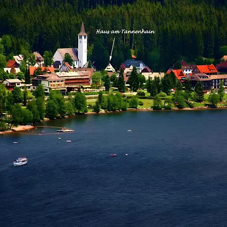 Pensionat Haus Am Tannenhain