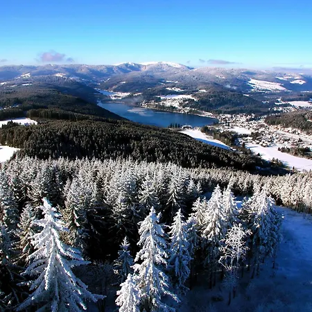 Pensionat Haus Am Tannenhain