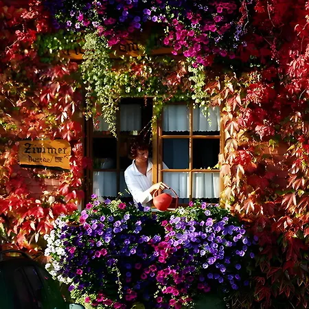Pensionat Haus Am Tannenhain Titisee-Neustadt
