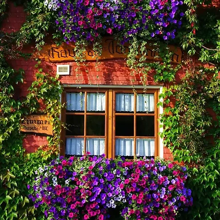 Haus Am Tannenhain Pensionat 3*