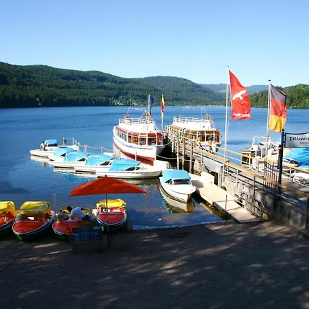 Haus Am Tannenhain Affittacamere Titisee-Neustadt