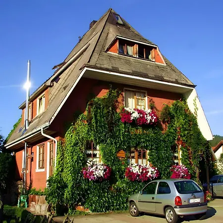 Πανσιόν Haus Am Tannenhain Titisee-Neustadt